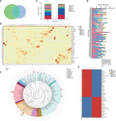 Anti-osteoporotic drugs affect the pathogenesis of gut microbiota and its metabolites: a clinical study